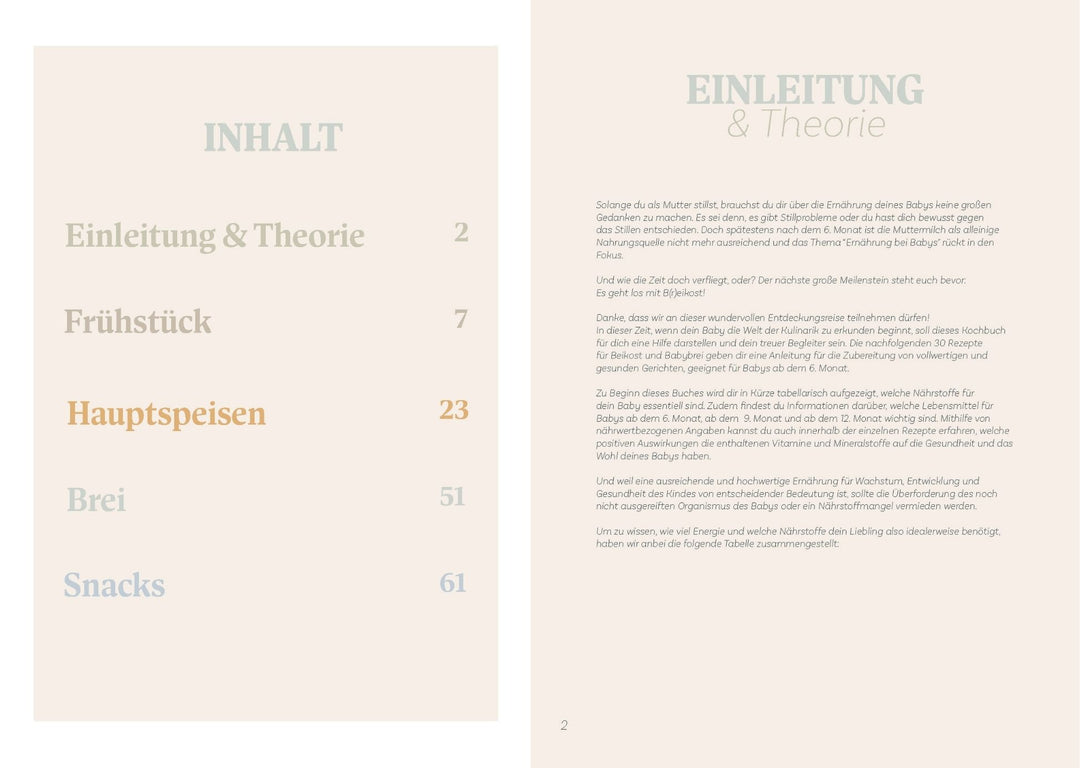 eBook BodyFood Baby Rezepte