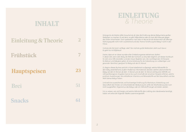 eBook BodyFood Baby Rezepte